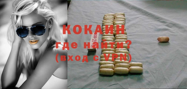молекула духа Вяземский