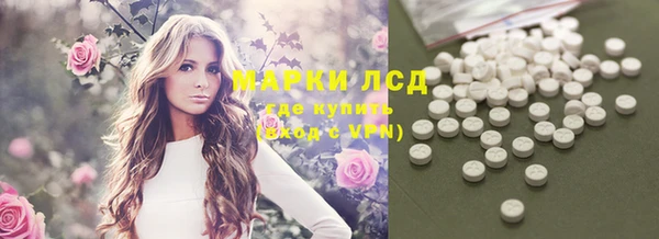 молекула духа Вяземский
