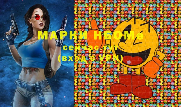 молекула духа Вяземский