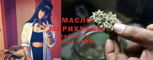 молекула духа Вяземский