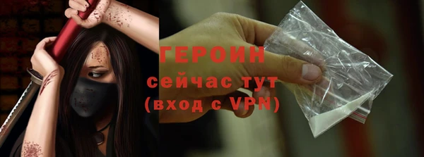 молекула духа Вяземский