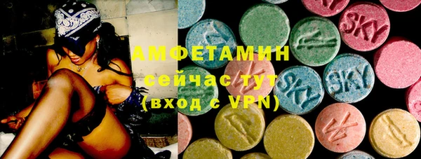 молекула духа Вяземский