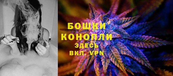 молекула духа Вяземский