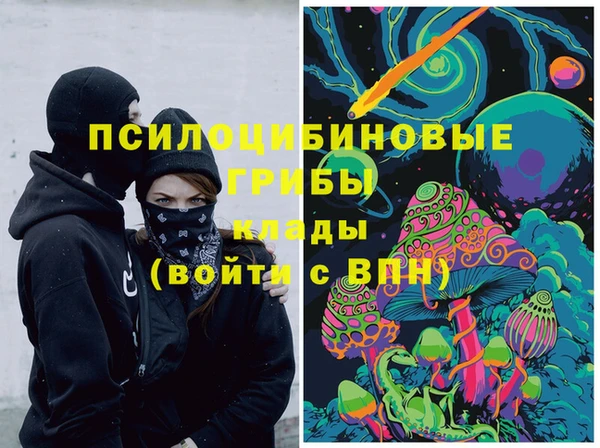 бошки Бронницы