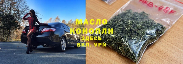 молекула духа Вяземский