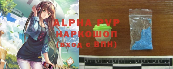 молекула духа Вяземский