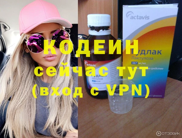 молекула духа Вяземский