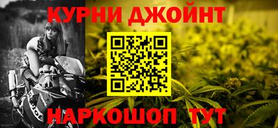 крисы Бийск