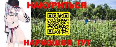 крисы Бийск