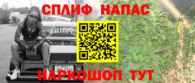 молекула духа Берёзовский