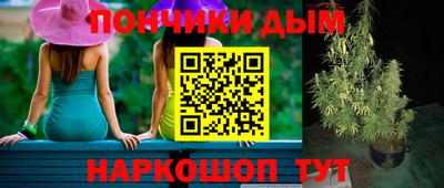 крисы Бийск