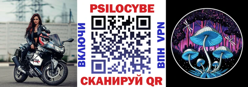 Галлюциногенные грибы Psilocybe Добрянка