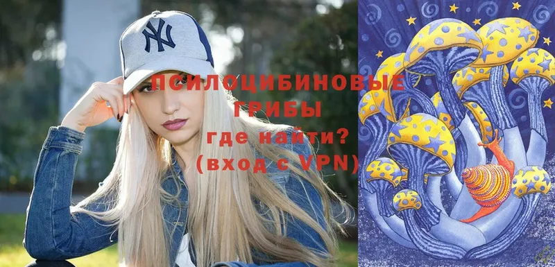 OMG ТОР  Добрянка  Галлюциногенные грибы Psilocybine cubensis  даркнет как зайти  цена наркотик 