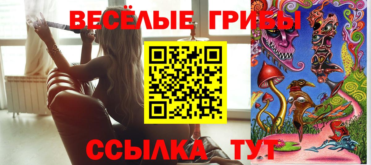 Псилоцибиновые грибы MAGIC MUSHROOMS Добрянка